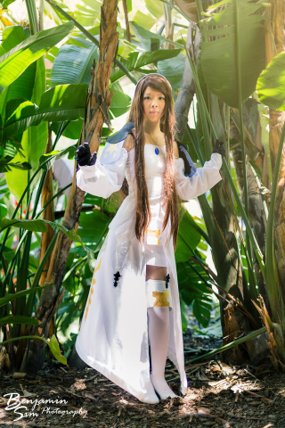 Illustration for article titled Bravely Second Cosplay!